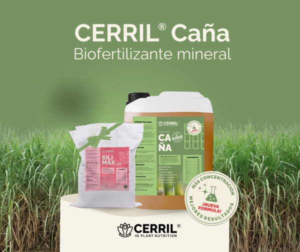 Cerril Biofertilizante Caña