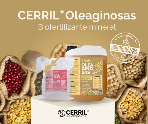 Cerril ® Oleaginosas