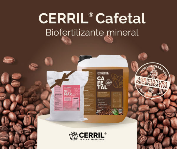 Cerril ® Cafetal