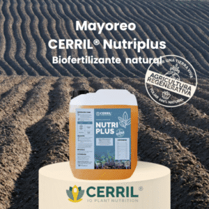 Mayoreo Cerril Fortisuelo