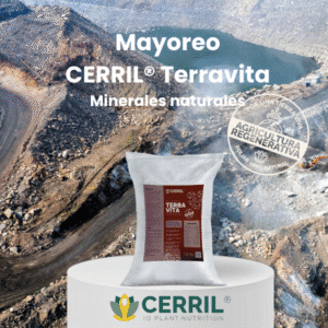 Mayoreo Cerril Terravita