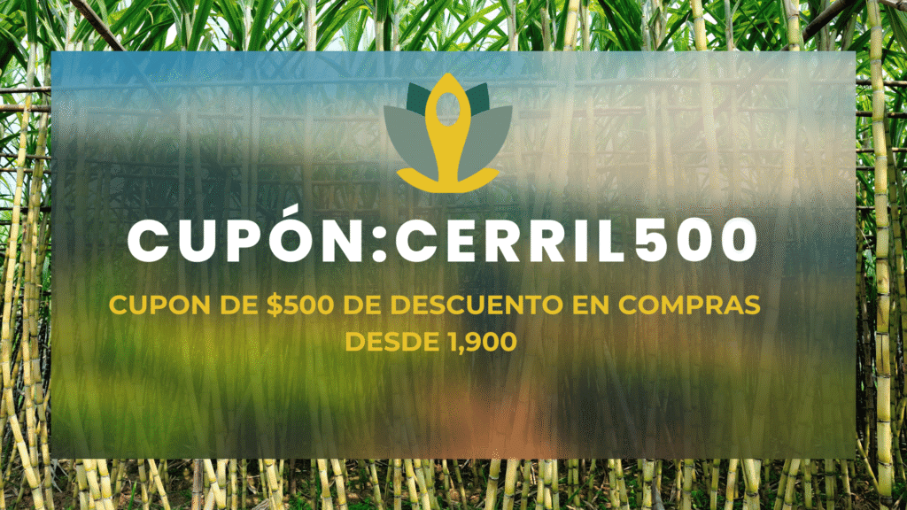 CUPÓN DE DESCUENTO CERRIL 500
